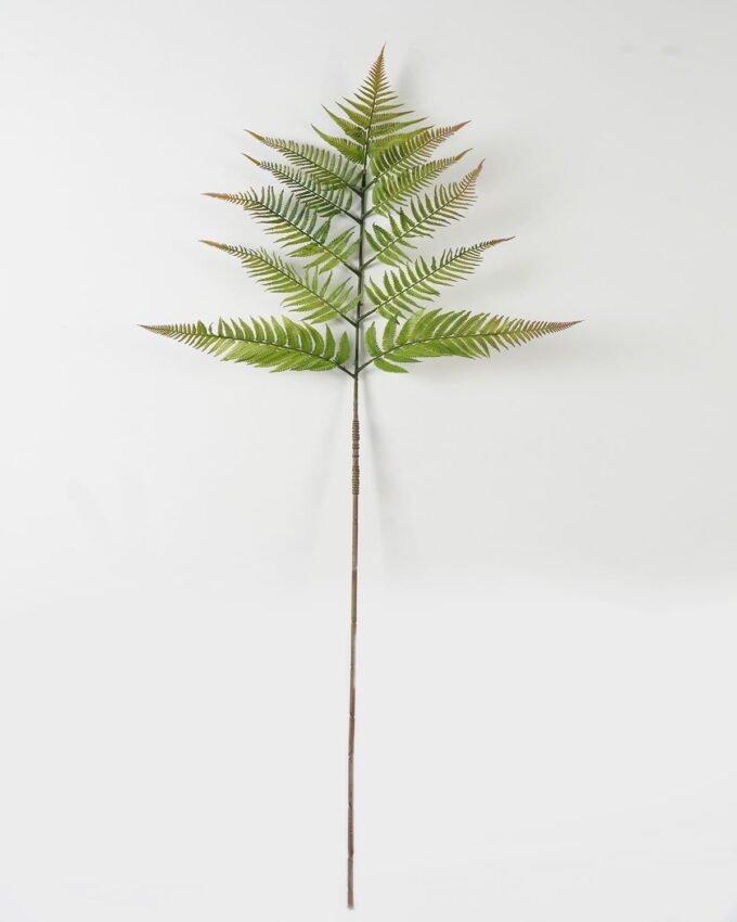 Artificial Plant 137cm Caulerpa taxifolia single stem GS-70323002CONTI_3 Artificial Plant 137cm Caulerpa taxifolia single stem GS-70323002CONTI Leaves&Sprays&Foliages YeahFlower is one of Chinese leading OEM manufacturers and exporters , supplying the silk flowers, wholesale artificial trees