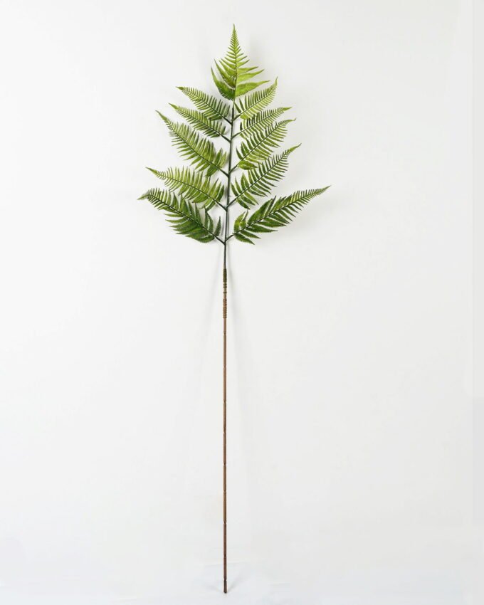 Artificial Plant 137cm Caulerpa taxifolia single stem GS-70323002CONTI_4 Artificial Plant 137cm Caulerpa taxifolia single stem GS-70323002CONTI Leaves&Sprays&Foliages YeahFlower is one of Chinese leading OEM manufacturers and exporters , supplying the silk flowers, wholesale artificial trees