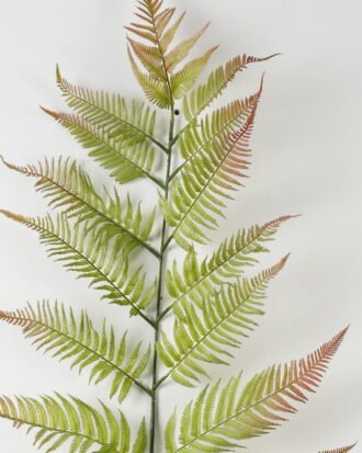 Artificial Plant 163cm Caulerpa taxifolia GS-70323003CONTI-G1 Leaves&Sprays&Foliages YeahFlower is one of Chinese leading OEM manufacturers and exporters , supplying the silk flowers, wholesale artificial trees Artificial Plant 163cm Caulerpa taxifolia GS-70323003CONTI-G1 Leaves&Sprays&Foliages YeahFlower is one of Chinese leading OEM manufacturers and exporters , supplying the silk flowers, wholesale artificial trees