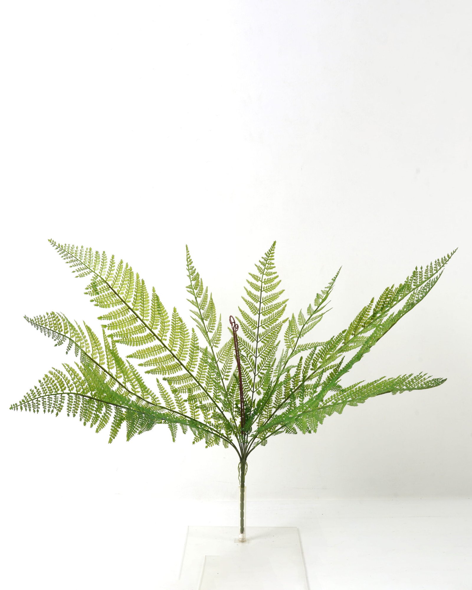 Artificial Plant 95cm Persia single stem GS-70323001CONTI-G2 Leaves&Sprays&Foliages YeahFlower is one of Chinese leading OEM manufacturers and exporters , supplying the silk flowers, wholesale artificial trees Artificial Plant 95cm Persia single stem GS-70323001CONTI-G2 Leaves&Sprays&Foliages YeahFlower is one of Chinese leading OEM manufacturers and exporters , supplying the silk flowers, wholesale artificial trees