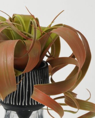 Artificial Plant 25*25*21cm Air grass in PP pot GS-03322008-RP-G2 Leaves&Sprays&Foliages YeahFlower is one of Chinese leading OEM manufacturers and exporters , supplying the silk flowers, wholesale artificial trees