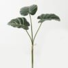 Artificial Plant Alocasia 3 bundle GS-66423049CONTI_6 Artificial Plant 48*48*60cm Alocasia *3 bundle GS-66423049CONTI Leaves&Sprays&Foliages YeahFlower is one of Chinese leading OEM manufacturers and exporters , supplying the silk flowers, wholesale artificial trees