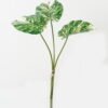 Artificial Plant 48*48*60cm Alocasia *3 bundle GS-66423051CONTI Leaves&Sprays&Foliages YeahFlower is one of Chinese leading OEM manufacturers and exporters , supplying the silk flowers, wholesale artificial trees