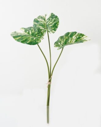 Artificial Plant 48*48*60cm Alocasia *3 bundle GS-66423051CONTI Leaves&Sprays&Foliages YeahFlower is one of Chinese leading OEM manufacturers and exporters , supplying the silk flowers, wholesale artificial trees Artificial Plant 48*48*60cm Alocasia *3 bundle GS-66423051CONTI Leaves&Sprays&Foliages YeahFlower is one of Chinese leading OEM manufacturers and exporters , supplying the silk flowers, wholesale artificial trees