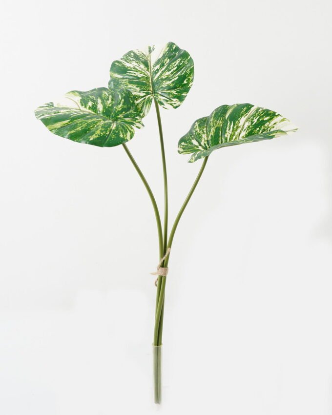 Artificial Plant 48*48*60cm Alocasia *3 bundle GS-66423051CONTI Leaves&Sprays&Foliages YeahFlower is one of Chinese leading OEM manufacturers and exporters , supplying the silk flowers, wholesale artificial trees