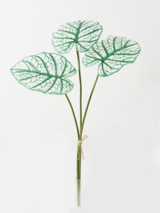 Artificial Plant 48*48*60cm Alocasia *3 bundle GS-66423051CONTI Leaves&Sprays&Foliages 3,000+ sqm showroom with thousands of artificial flowers, plants & trees ready for global sourcing.