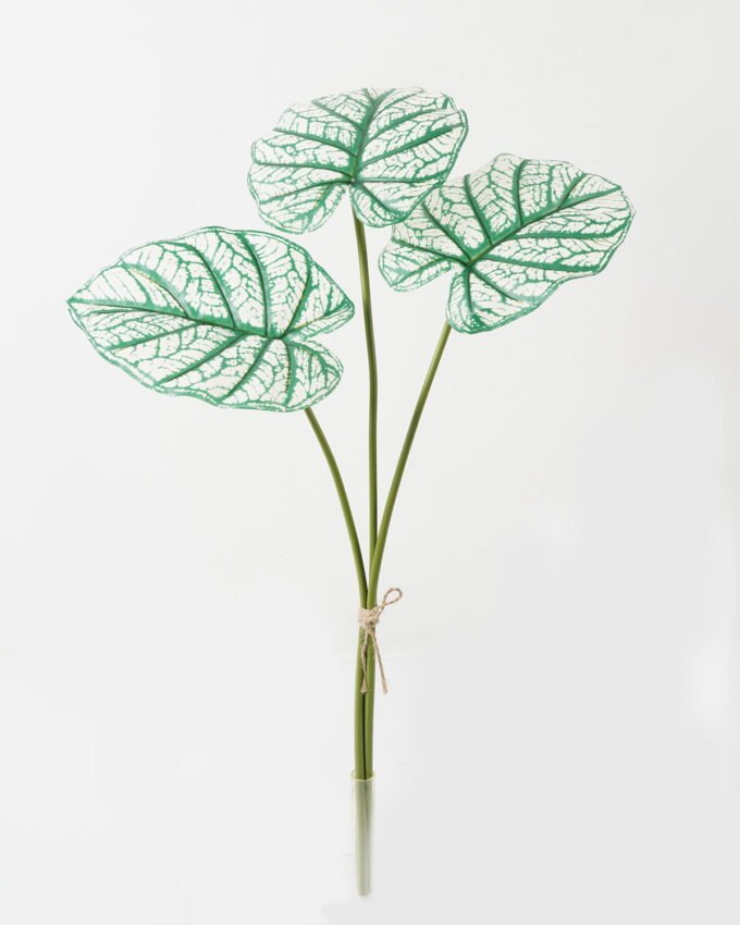 Artificial Plant 48*48*60cm Alocasia *3 bundle GS-66423052CONTI Leaves&Sprays&Foliages YeahFlower is one of Chinese leading OEM manufacturers and exporters , supplying the silk flowers, wholesale artificial trees
