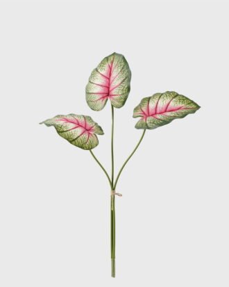 Artificial Plant 38*38*67cm Alocasia *3 bundle GS-66423053CONTI Leaves&Sprays&Foliages YeahFlower is one of Chinese leading OEM manufacturers and exporters , supplying the silk flowers, wholesale artificial trees Artificial Plant 38*38*67cm Alocasia *3 bundle GS-66423053CONTI Leaves&Sprays&Foliages YeahFlower is one of Chinese leading OEM manufacturers and exporters , supplying the silk flowers, wholesale artificial trees