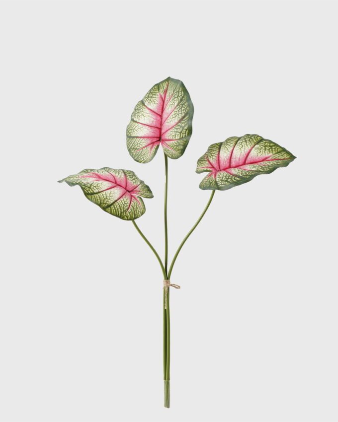 Artificial Plant 38*38*67cm Alocasia *3 bundle GS-66423053CONTI Leaves&Sprays&Foliages YeahFlower is one of Chinese leading OEM manufacturers and exporters , supplying the silk flowers, wholesale artificial trees