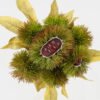 Artificial Plant Chinese chestnut 7 bundle GS-63623005_2 Artificial Plant 20*20*24cm Chinese chestnut *7 bundle GS-63623005 Leaves&Sprays&Foliages YeahFlower is one of Chinese leading OEM manufacturers and exporters , supplying the silk flowers, wholesale artificial trees