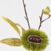 Artificial Plant 20*32cm Chinese chestnut single stem GS-63623001-G2 Leaves&Sprays&Foliages YeahFlower is one of Chinese leading OEM manufacturers and exporters , supplying the silk flowers, wholesale artificial trees