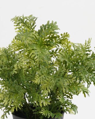 Artificial Plant 25*25*28cm Chinese mugwort in PP pot GS-03323016 Potted Flowers&Plants YeahFlower is one of Chinese leading OEM manufacturers and exporters , supplying the silk flowers, wholesale artificial trees Artificial Plant 25*25*28cm Chinese mugwort in PP pot GS-03323016 Potted Flowers&Plants YeahFlower is one of Chinese leading OEM manufacturers and exporters , supplying the silk flowers, wholesale artificial trees