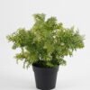 Artificial-Plant-Chinese-mugwort-in-PP-pot-GS-03323016_3-1.jpg Artificial Plant 25*25*28cm Chinese mugwort in PP pot GS-03323016 Potted Flowers&Plants YeahFlower is one of Chinese leading OEM manufacturers and exporters , supplying the silk flowers, wholesale artificial trees