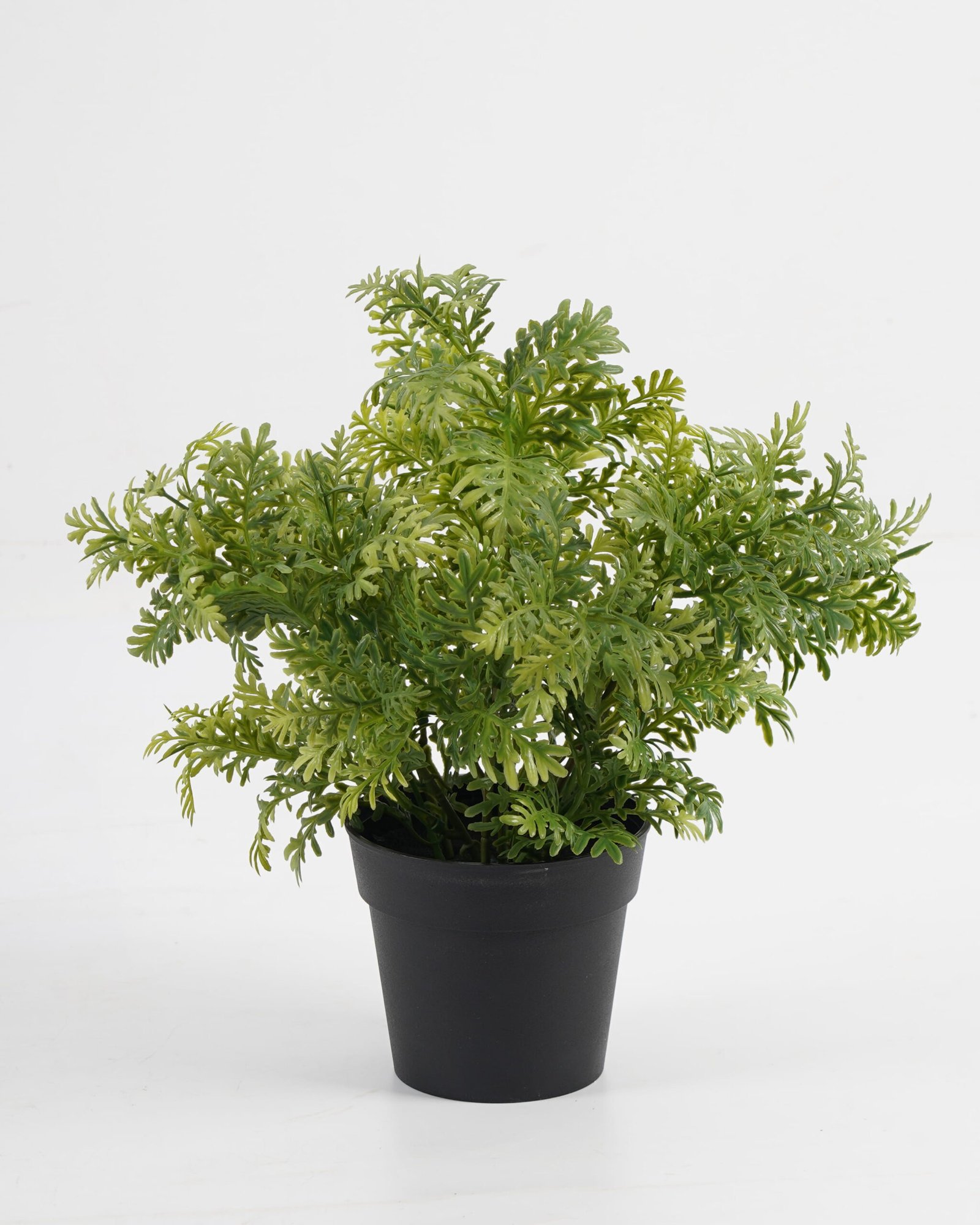 Artificial-Plant-Chinese-mugwort-in-PP-pot-GS-03323016_3-1.jpg Artificial Plant 25*25*28cm Chinese mugwort in PP pot GS-03323016 Potted Flowers&Plants YeahFlower is one of Chinese leading OEM manufacturers and exporters , supplying the silk flowers, wholesale artificial trees