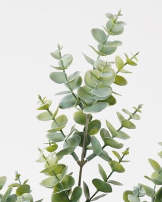 Artificial Plant 16*16*63cm Eucalyptus Leaf *3 single stem GS-05523017-G3 Leaves&Sprays&Foliages YeahFlower is one of Chinese leading OEM manufacturers and exporters , supplying the silk flowers, wholesale artificial trees Artificial Plant 16*16*63cm Eucalyptus Leaf *3 single stem GS-05523017-G3 Leaves&Sprays&Foliages YeahFlower is one of Chinese leading OEM manufacturers and exporters , supplying the silk flowers, wholesale artificial trees