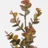 Artificial Plant Eucalyptus Leaf 3 single stem GS-05523017-R1_1 Artificial Plant 16*16*63cm Eucalyptus Leaf *3 single stem GS-05523017-R1 Leaves&Sprays&Foliages YeahFlower is one of Chinese leading OEM manufacturers and exporters , supplying the silk flowers, wholesale artificial trees