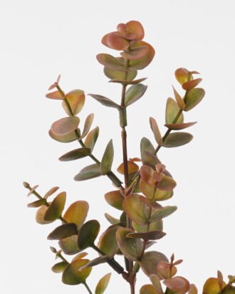 Artificial Plant 16*16*63cm Eucalyptus Leaf *3 single stem GS-05523017-R1 Leaves&Sprays&Foliages YeahFlower is one of Chinese leading OEM manufacturers and exporters , supplying the silk flowers, wholesale artificial trees Artificial Plant 16*16*63cm Eucalyptus Leaf *3 single stem GS-05523017-R1 Leaves&Sprays&Foliages YeahFlower is one of Chinese leading OEM manufacturers and exporters , supplying the silk flowers, wholesale artificial trees