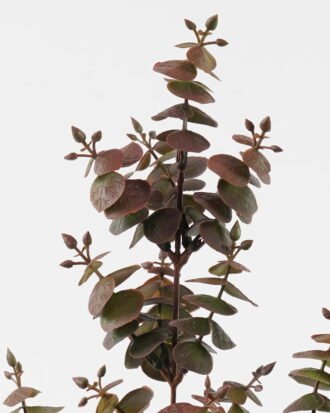Artificial Plant 15*15*63cm Eucalyptus Leaf *3 single stem GS-05523018-R1 Leaves&Sprays&Foliages YeahFlower is one of Chinese leading OEM manufacturers and exporters , supplying the silk flowers, wholesale artificial trees Artificial Plant 15*15*63cm Eucalyptus Leaf *3 single stem GS-05523018-R1 Leaves&Sprays&Foliages YeahFlower is one of Chinese leading OEM manufacturers and exporters , supplying the silk flowers, wholesale artificial trees