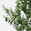 Artificial Plant Eucalyptus Leaf 7 bush GS-05523010_2 Artificial Plant 14*14*38cm Eucalyptus Leaf *7 bush GS-05523010 Leaves&Sprays&Foliages YeahFlower is one of Chinese leading OEM manufacturers and exporters , supplying the silk flowers, wholesale artificial trees