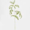 Artificial Plant 22*63CM Fern spray GVC-20-2701 Leaves&Sprays&Foliages YeahFlower is one of Chinese leading OEM manufacturers and exporters , supplying the silk flowers, wholesale artificial trees
