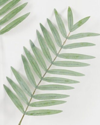 Artificial Plant 39*109cm Frond Flocky *3 single stem GS-53623060 Leaves&Sprays&Foliages YeahFlower is one of Chinese leading OEM manufacturers and exporters , supplying the silk flowers, wholesale artificial trees Artificial Plant 39*109cm Frond Flocky *3 single stem GS-53623060 Leaves&Sprays&Foliages YeahFlower is one of Chinese leading OEM manufacturers and exporters , supplying the silk flowers, wholesale artificial trees