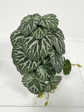 Artificial Plant  GS-46723033CONTI-G1 Leaves&Sprays&Foliages 3,000+ sqm showroom with thousands of artificial flowers, plants & trees ready for global sourcing.