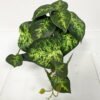 Artificial Plant  GS-46723034CONTI Leaves&Sprays&Foliages YeahFlower is one of Chinese leading OEM manufacturers and exporters , supplying the silk flowers, wholesale artificial trees