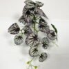 Artificial Plant  GS-46723037CONTI-G5 Leaves&Sprays&Foliages YeahFlower is one of Chinese leading OEM manufacturers and exporters , supplying the silk flowers, wholesale artificial trees