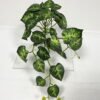 Artificial Plant GS-46723038CONTI-G1_1 Artificial Plant GS-46723038CONTI-G1 Leaves&Sprays&Foliages YeahFlower is one of Chinese leading OEM manufacturers and exporters , supplying the silk flowers, wholesale artificial trees