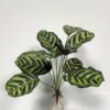 Artificial Plant  GS-46723041CONTI-G2 Leaves&Sprays&Foliages YeahFlower is one of Chinese leading OEM manufacturers and exporters , supplying the silk flowers, wholesale artificial trees