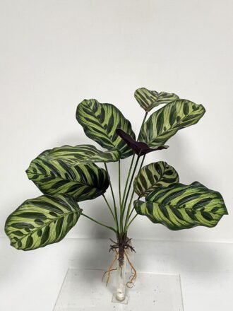 Artificial Plant  GS-46723041CONTI-G3 Leaves&Sprays&Foliages 3,000+ sqm showroom with thousands of artificial flowers, plants & trees ready for global sourcing.