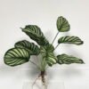 Artificial Plant  GS-46723041CONTI-G3 Leaves&Sprays&Foliages YeahFlower is one of Chinese leading OEM manufacturers and exporters , supplying the silk flowers, wholesale artificial trees