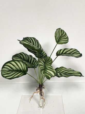 Artificial Plant  GS-46723041CONTI-G2 Leaves&Sprays&Foliages 3,000+ sqm showroom with thousands of artificial flowers, plants & trees ready for global sourcing.