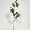 Artificial Plant  GS-46723043CONTI Leaves&Sprays&Foliages YeahFlower is one of Chinese leading OEM manufacturers and exporters , supplying the silk flowers, wholesale artificial trees