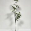 Artificial Plant GS-46723045CONTI-G1_1 Artificial Plant GS-46723045CONTI-G1 Leaves&Sprays&Foliages YeahFlower is one of Chinese leading OEM manufacturers and exporters , supplying the silk flowers, wholesale artificial trees
