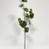 Artificial Plant  GS-46723046CONTI Leaves&Sprays&Foliages YeahFlower is one of Chinese leading OEM manufacturers and exporters , supplying the silk flowers, wholesale artificial trees