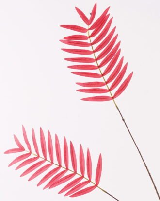 Artificial Plant GS-53623056 Leaves&Sprays&Foliages YeahFlower is one of Chinese leading OEM manufacturers and exporters , supplying the silk flowers, wholesale artificial trees Artificial Plant GS-53623056 Leaves&Sprays&Foliages YeahFlower is one of Chinese leading OEM manufacturers and exporters , supplying the silk flowers, wholesale artificial trees