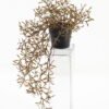 Artificial Plant Grass in PP pot GS-03323015_5 Artificial Plant 26*26*45cm Grass in PP pot GS-03323015 Potted Flowers&Plants YeahFlower is one of Chinese leading OEM manufacturers and exporters , supplying the silk flowers, wholesale artificial trees