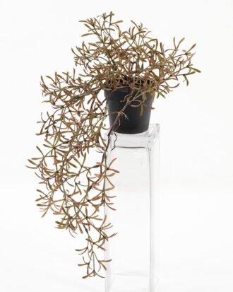 Artificial Plant 26*26*45cm Grass in PP pot GS-03323015 Potted Flowers&Plants YeahFlower is one of Chinese leading OEM manufacturers and exporters , supplying the silk flowers, wholesale artificial trees