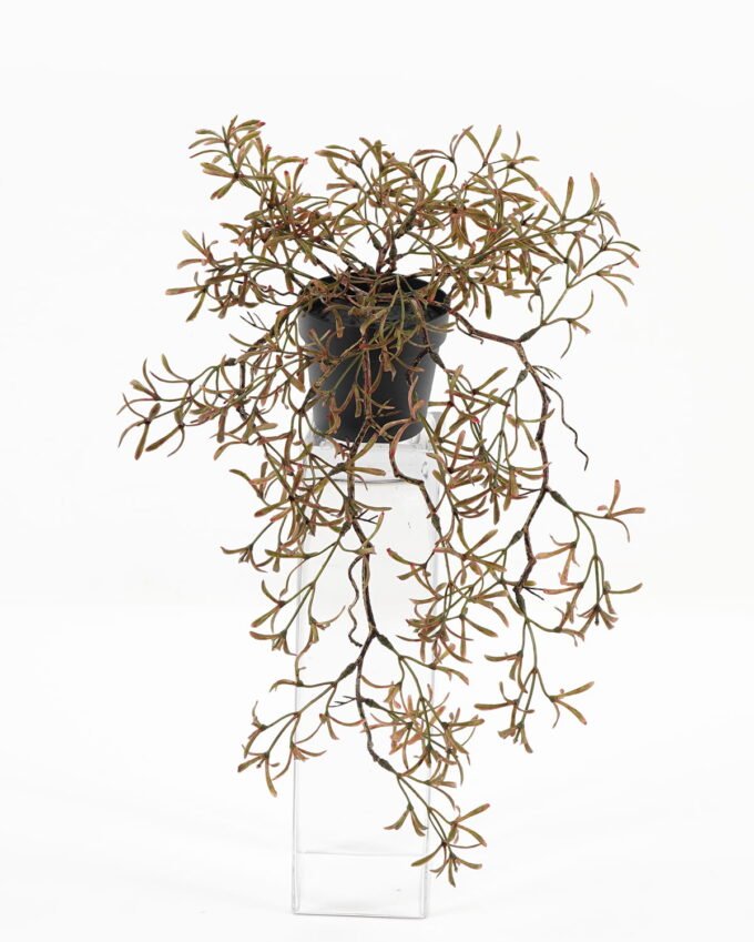 Artificial Plant Grass in PP pot GS-03323015_6 Artificial Plant 26*26*45cm Grass in PP pot GS-03323015 Potted Flowers&Plants YeahFlower is one of Chinese leading OEM manufacturers and exporters , supplying the silk flowers, wholesale artificial trees