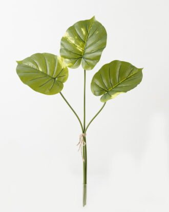 Artificial Plant 30*30*60cm Leaf *3 bundle GS-66423050CONTI Leaves&Sprays&Foliages YeahFlower is one of Chinese leading OEM manufacturers and exporters , supplying the silk flowers, wholesale artificial trees Artificial Plant 30*30*60cm Leaf *3 bundle GS-66423050CONTI Leaves&Sprays&Foliages YeahFlower is one of Chinese leading OEM manufacturers and exporters , supplying the silk flowers, wholesale artificial trees