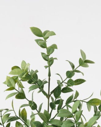 Artificial Plant 16*16*70cm Leaf *3 single stem GS-05523016-G2 Leaves&Sprays&Foliages YeahFlower is one of Chinese leading OEM manufacturers and exporters , supplying the silk flowers, wholesale artificial trees Artificial Plant 16*16*70cm Leaf *3 single stem GS-05523016-G2 Leaves&Sprays&Foliages YeahFlower is one of Chinese leading OEM manufacturers and exporters , supplying the silk flowers, wholesale artificial trees