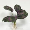 Artificial Plant 26*26*32cm Leaf *6 bush GS-46723018CONTI-G2 Leaves&Sprays&Foliages YeahFlower is one of Chinese leading OEM manufacturers and exporters , supplying the silk flowers, wholesale artificial trees