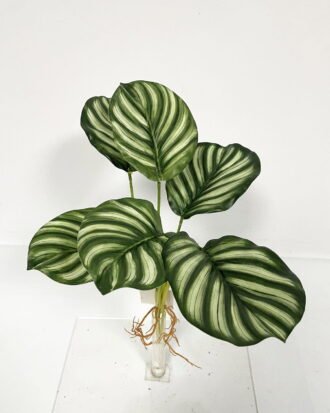 Artificial Plant 26*26*32cm Leaf *6 bush GS-46723018CONTI-G3 Leaves&Sprays&Foliages YeahFlower is one of Chinese leading OEM manufacturers and exporters , supplying the silk flowers, wholesale artificial trees Artificial Plant 26*26*32cm Leaf *6 bush GS-46723018CONTI-G3 Leaves&Sprays&Foliages YeahFlower is one of Chinese leading OEM manufacturers and exporters , supplying the silk flowers, wholesale artificial trees