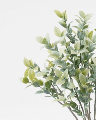 Artificial Plant 15*15*40cm Leaf *7 bush GS-05523008-G3 Leaves&Sprays&Foliages YeahFlower is one of Chinese leading OEM manufacturers and exporters , supplying the silk flowers, wholesale artificial trees Artificial Plant 15*15*40cm Leaf *7 bush GS-05523008-G3 Leaves&Sprays&Foliages YeahFlower is one of Chinese leading OEM manufacturers and exporters , supplying the silk flowers, wholesale artificial trees