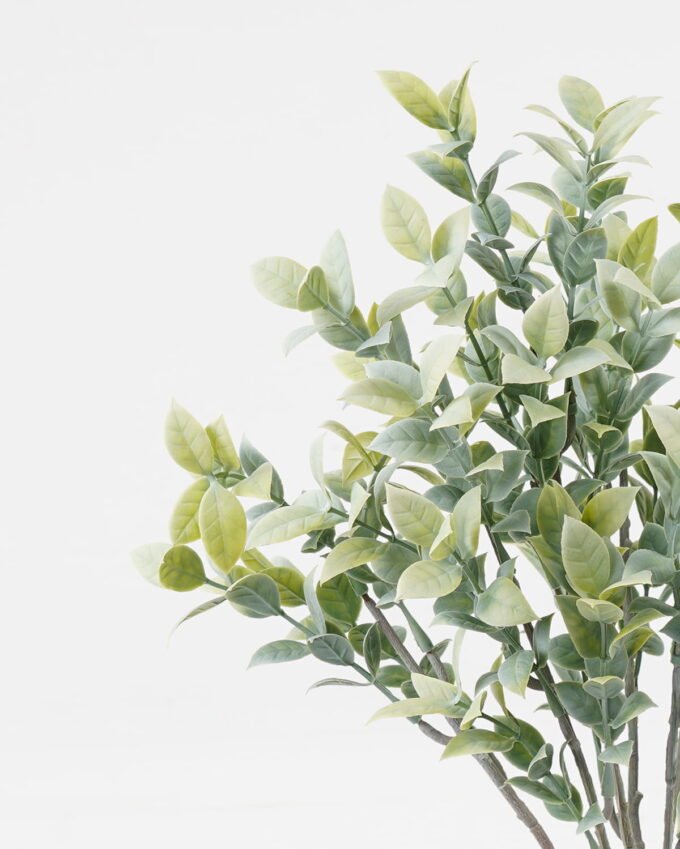 Artificial Plant Leaf 7 bush GS-05523008-G3_5 Artificial Plant 15*15*40cm Leaf *7 bush GS-05523008-G3 Leaves&Sprays&Foliages YeahFlower is one of Chinese leading OEM manufacturers and exporters , supplying the silk flowers, wholesale artificial trees