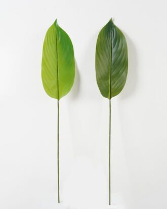 Artificial Plant 16*86cm Leaf single stem GS-66423035CONTI Leaves&Sprays&Foliages YeahFlower is one of Chinese leading OEM manufacturers and exporters , supplying the silk flowers, wholesale artificial trees Artificial Plant 16*86cm Leaf single stem GS-66423035CONTI Leaves&Sprays&Foliages YeahFlower is one of Chinese leading OEM manufacturers and exporters , supplying the silk flowers, wholesale artificial trees