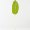 Artificial Plant Leaf single stem GS-66423035CONTI_3 Artificial Plant 16*86cm Leaf single stem GS-66423035CONTI Leaves&Sprays&Foliages YeahFlower is one of Chinese leading OEM manufacturers and exporters , supplying the silk flowers, wholesale artificial trees