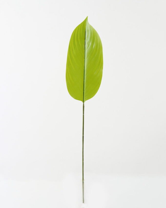 Artificial Plant Leaf single stem GS-66423035CONTI_3 Artificial Plant 16*86cm Leaf single stem GS-66423035CONTI Leaves&Sprays&Foliages YeahFlower is one of Chinese leading OEM manufacturers and exporters , supplying the silk flowers, wholesale artificial trees