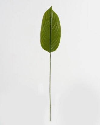 Artificial Plant 13*79cm Leaf single stem GS-66423036CONTI Leaves&Sprays&Foliages YeahFlower is one of Chinese leading OEM manufacturers and exporters , supplying the silk flowers, wholesale artificial trees Artificial Plant 13*79cm Leaf single stem GS-66423036CONTI Leaves&Sprays&Foliages YeahFlower is one of Chinese leading OEM manufacturers and exporters , supplying the silk flowers, wholesale artificial trees